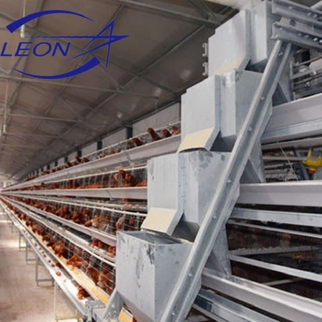 Chicken Cages Egg Layer