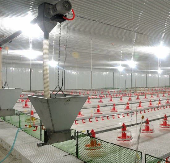 Orange And White Automatic Broiler Pan Feeding System Orange And White Automatic Broiler Pan Feeding System