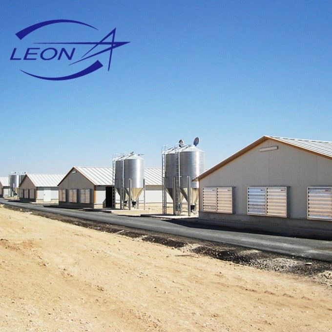 Orange And White Automatic Broiler Pan Feeding System Orange And White Automatic Broiler Pan Feeding System