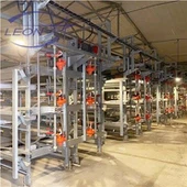 Multi-level H Hom Broiler House System