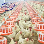 Zoo Breeder Pan Pan Feeding System