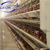 Sturdy Durable H Hom Txheej Cage