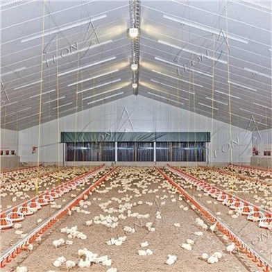 Qaib Broiler Floor Raising System