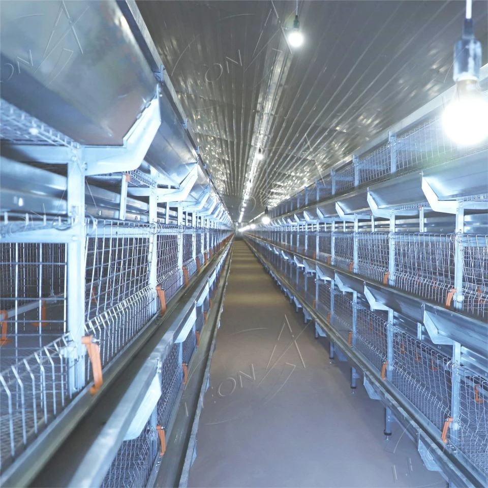 High-quality H-Type Broiler Battery Cage System high quality