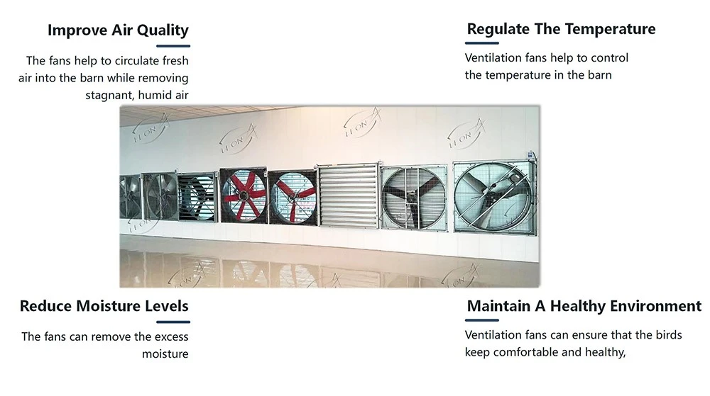 ventilation exhaust fan7 ventilation exhaust fan7