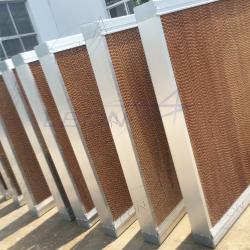 product-250-250 product-250-250